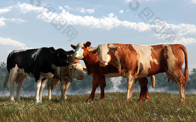 通遼市奈曼旗青龍山鎮(zhèn)反芻技術推廣會圓滿成功