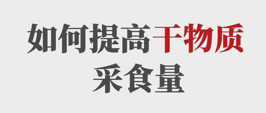 做到這5點提高育肥牛的干物質(zhì)采食量！